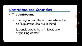 Bio 1  Ch 6  cytoskeleton  video 7 [upl. by Ecilayram]