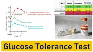 Glucose Tolerance Test OGTT IGTT Glucose Tolerance Curve Typical Values and the Impact [upl. by Hardunn]