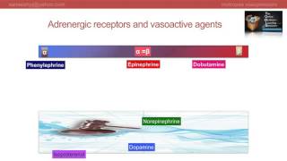 Inotropes and Vasopressors  rationale of choice in ICU Part 1  Saneesh  AnesthesiaTOOLS [upl. by Eelah]