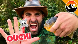 EATEN ALIVE  Human Hands vs Piranha [upl. by Jeffry949]