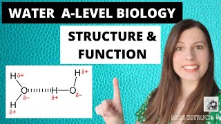 WATER  Alevel Biology The importance of water  structure and function [upl. by Arhna]