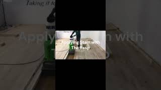 Applying Stain with The Rasp floorsanding stainingwoodfloors refinishinghardwoodfloors [upl. by Ollopa]