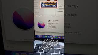 Install Microsoft Office in Macbook Pro M2 2022 [upl. by Lilli]