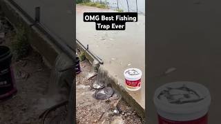 OMG best fishing trap ever fishinglife fishtank fisherman fishvideo river aquarium catfish [upl. by Keviv790]