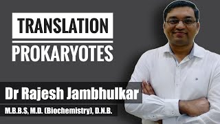 Translation in Prokaryotes [upl. by Tirrej249]