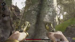 HUNT SHOWDOWN Bayou Butcher is back new army swift [upl. by Nnaerb]