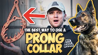 How to use the Prong Collar To Train Your Dog [upl. by Ariuqahs872]