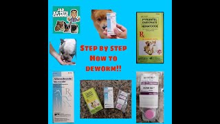 PuppyAdult Dog  Deworming Purga Time Nematocide Microzole Worm Rid Tablet [upl. by Akinas507]