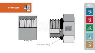 How to identify ORing Boss hydraulic fittings [upl. by Justino634]