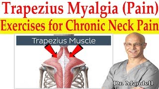 Trapezius Myalgia Caused From Forward Head Posture Best Corrective Exercises  Dr Mandell DC [upl. by Anan385]