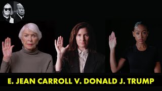 E Jean Carroll V Donald J Trump • Full Documentary • BRAVE NEW FILMS BNF [upl. by Acirretal]