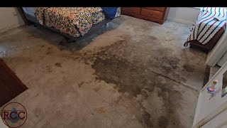 How to Clean Extremely Soiled Carpet [upl. by Hegarty]