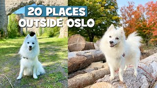 Molly The Spitz Guiding You Through 20 PLACES Outside Oslo Norway [upl. by Seena]