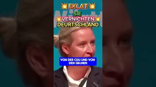 💥WAS hier Passiert ist UNFASSBAR💥⚡ afd ampel spd weidel cdu bsw merz diegrünen bärbock [upl. by Scrivings12]