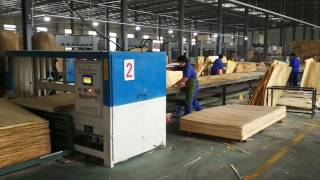 plywood manufacturing process [upl. by Walkling]