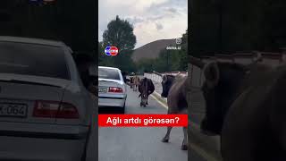 🤣🤣🤣 abunəol keşfet humour 10000subscriber [upl. by Alcot]