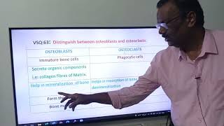 81OSTEOBLAST amp OSTEOCLASTSDifferencesFirst Year Zoology IPE [upl. by Ulda743]