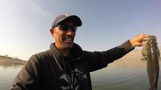 Lahontan Reservoir Largemouth Bass catch and release 92020 [upl. by Celka37]