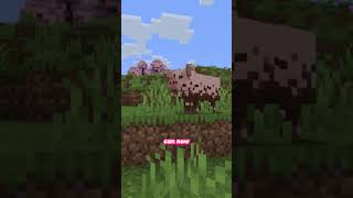 Minecraft’s Better Animals Mod Realistic Farm Animal Upgrade 🐄 Shorts [upl. by Aubrey141]