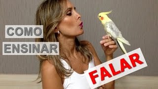 Como ensinar Calopsita a falar [upl. by Bedwell]