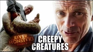 The Creepiest Monsters  Compilation  River Monsters [upl. by Akinimod155]