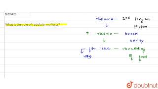 What is the role of radula in molluscs [upl. by Negeam343]