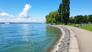 Tauchen im Bodensee  Meersburg Krebsgarten [upl. by Siravaj]