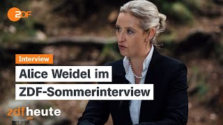 Weidel wünscht sich Trump als USPräsidenten  ZDFSommerinterview 07072024 [upl. by Ellehcer]