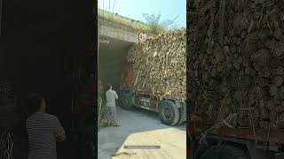 Process Of The Truck Loaded With Wood Passing Through The Bridge Opening [upl. by Ennaeel808]