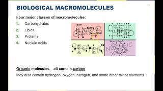 Chapter 3  Biological Macromolecules [upl. by Ali]