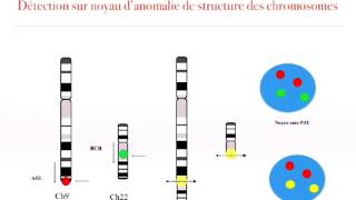 les techniques de cytogénétique partie 5 [upl. by Gilly]