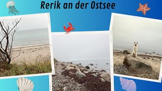 Rerik an der Ostsee [upl. by Ahsinnod350]