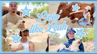 livin like leah  gentle barn w daria  miguel [upl. by Pesvoh]