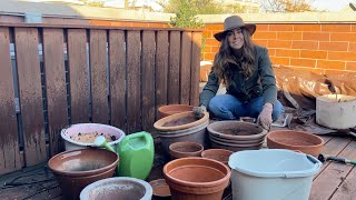 Cleaning amp Storing My Pots Over Winter  Container Gardening Tips [upl. by Hedy]