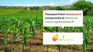 Pourquoi il faut absolument comprendre la chaîne de valeur agribusiness [upl. by Justicz]