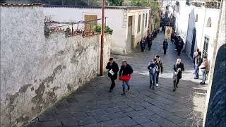 PROCESSIONE SAN BIAGIO 2024  PALMA CAMPANIA NA [upl. by Alat]