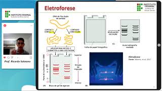 Tecnologias do DNA Recombinante  Parte II  Endonucleases de restrição e Eletroforese [upl. by Nel]