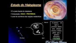 Citoplasma  Aula 1 DAB [upl. by Lorre252]