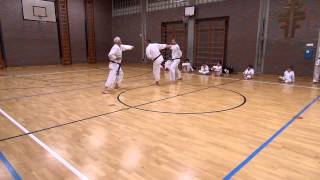 Bunkai Heian Nidan  Fortgeschrittene [upl. by Kehr625]