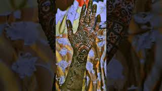 New beautiful birdal mehndi designs ✨️ henna designs ✨️ [upl. by Middleton]