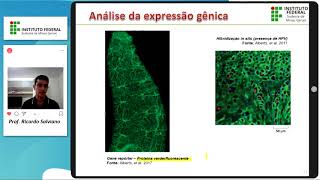 Tecnologias do DNA Recombinante  Parte VII Análise da expressão gênica [upl. by Assirk]