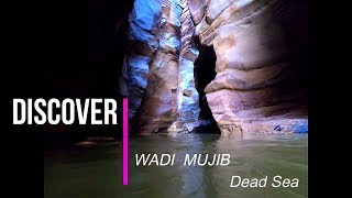 A mustsee in Jordan  discover Wadi Mujib Siq Trail with familyinjordan [upl. by Christoper]