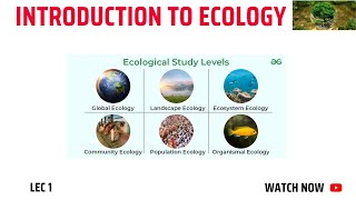 Introduction to Ecology [upl. by Nnednarb106]