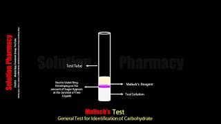 Molisch Test  Biochemical test for Carbohydrate  Animation Video by Solution Pharmacy English [upl. by Lebiralc]