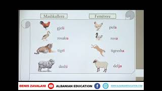 2 01 090 Java 19 Gjuhë shqipe Gjinia e emrit [upl. by Button335]