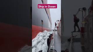 Ship pilot transfer 😲 Subhanallah Alhamdulillah subscribe shorts [upl. by Kelson]