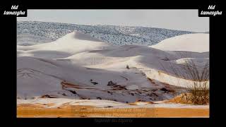 Neige Inattendue dans le Désert Saoudien  Un Phénomène Qui Inquiète les Experts [upl. by Dulcine918]