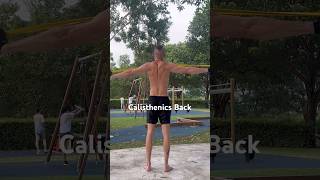 Calisthenics BackTraining [upl. by Cogswell]