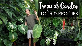 DREAM BIG in a tiny Tropical Garden 280 sqft  Pro Gardening Tips ft the legendary Farren Wayne [upl. by Nylarad]