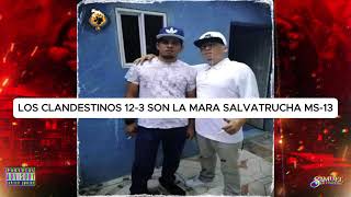 LA MARA SALVATRUCHA MS13 Y SUS SECRETOS rapsalvadoreño [upl. by Svetlana756]